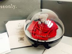 -ROSEONLY诺誓(青岛万象城店)