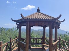 -大岭沟猕猴桃谷风景区