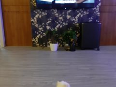 -鸿鹄足浴店(东门店)