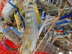 -渔民新村(番禺总店)