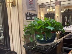 -红鼎豆捞(临江大道店)