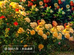 -国家植物园