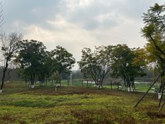 -白鹭湾湿地公园