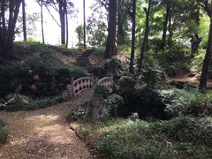 -叶家花园