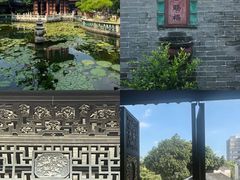 -碧江金楼