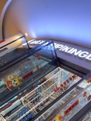 -PIPIKINGDOM皮皮王国欢乐号(欢乐海岸购物中心店)