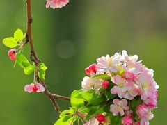 -黑山牛肉汤火锅(花城汇店)