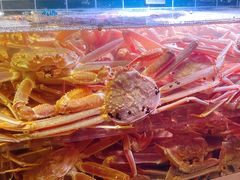 -丰卓会海鲜自助(中润大道店)