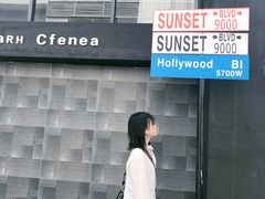 -玫瑰小镇