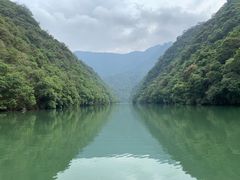 -天台国家森林公园水上茶乡九鹏溪