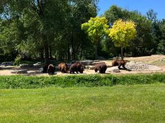 -北京野生动物园