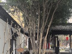 -南京市民俗博物馆(甘熙故居)