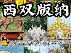 -西双版纳原始森林公园