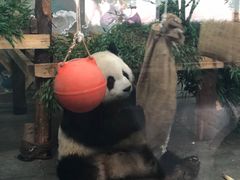 -无锡动物园·太湖欢乐园