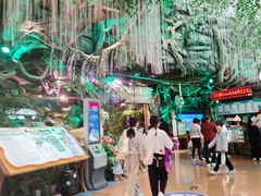 -正佳雨林生态植物园