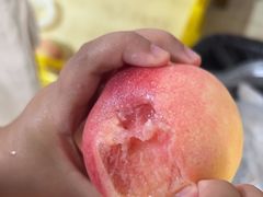 -老袁家蜜桃农场·阳山水蜜桃