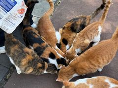 -敬亭山风景名胜区