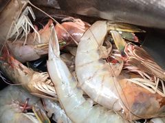 -青岛沙子口国家中心渔港