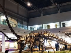 -自贡恐龙博物馆