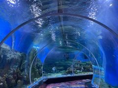 -顺德南宏海立方海洋公园