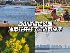 -西山漾湿地公园