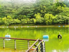-莲花山公园