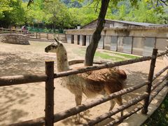 -西安秦岭野生动物园