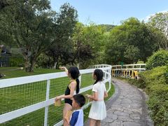 -宁波九龙湖开元度假村