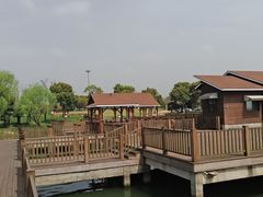 -新木器时代餐厅(太湖新天地店)