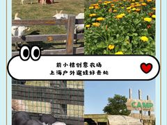 -前小桔亲子创意农场·草莓采摘·露营烧烤