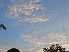 -大门水乡·顺德菜