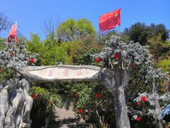 -王顺山国家森林公园