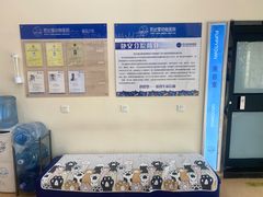 -芭比堂动物医院·CT·微创中心(新顺分院)