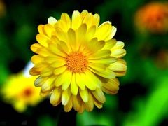 -福州罗源湾海洋世界旅游区