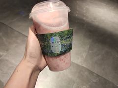 -野萃山·潮汕厚果汁(十亩地店)
