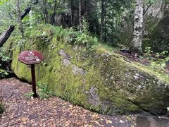 -汤旺河林海奇石景区
