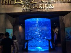 -迪拜水族馆及水下动物园
