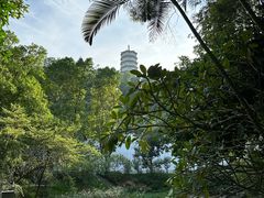 -深圳国际园林花卉博览园