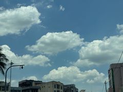 -吉英盐焗鸡(文中路店)