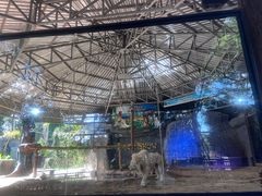 -清迈夜间动物园
