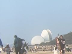 -野狸岛