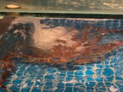 -隐炉和牛烧肉店(群力店)