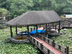 -明月山天沐温泉度假村