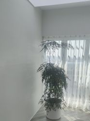 点击看大图 -HEYAN荷妍专业脱毛连锁机构