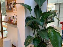 -Line 咖啡(石厦花园店)