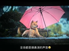 -卢米埃影城(住总万科杜比全景声激光店)