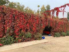 -水库活鱼馆(于桥水库店)