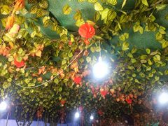 -人和水上飘(第一家店)