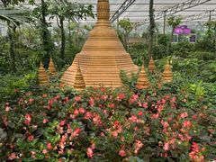 -南宫五洲植物乐园