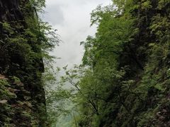 -塔云山